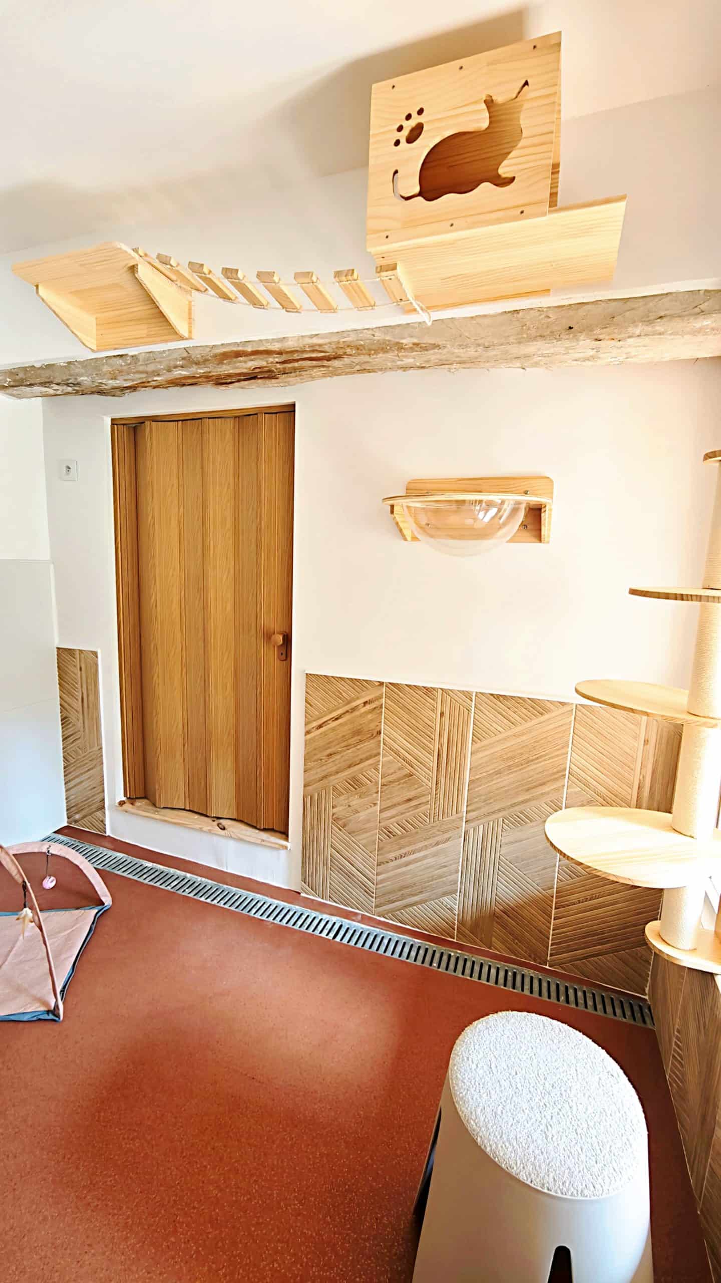 Hôtel pour Chats & Pension Féline en Touraine | Royal Kitty Nanny Espace de jeu privé
