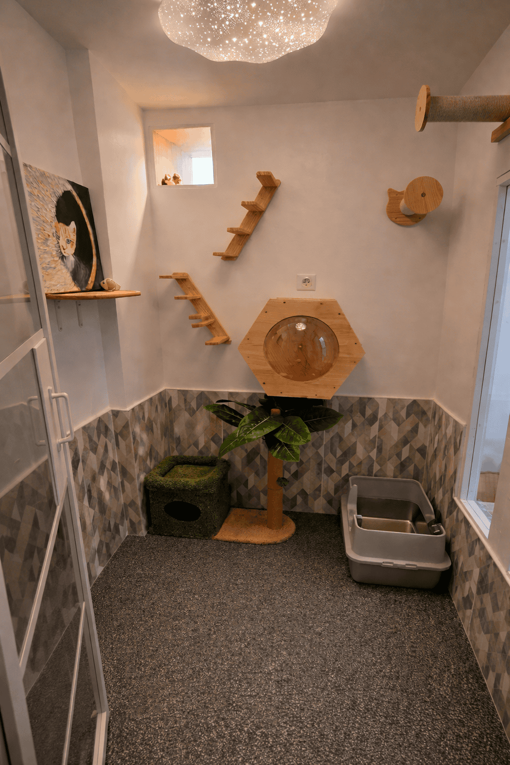 Hôtel pour Chats & Pension Féline en Touraine | Royal Kitty Nanny Chambre Kitty – vue d'ensemble avec lustre étoilé