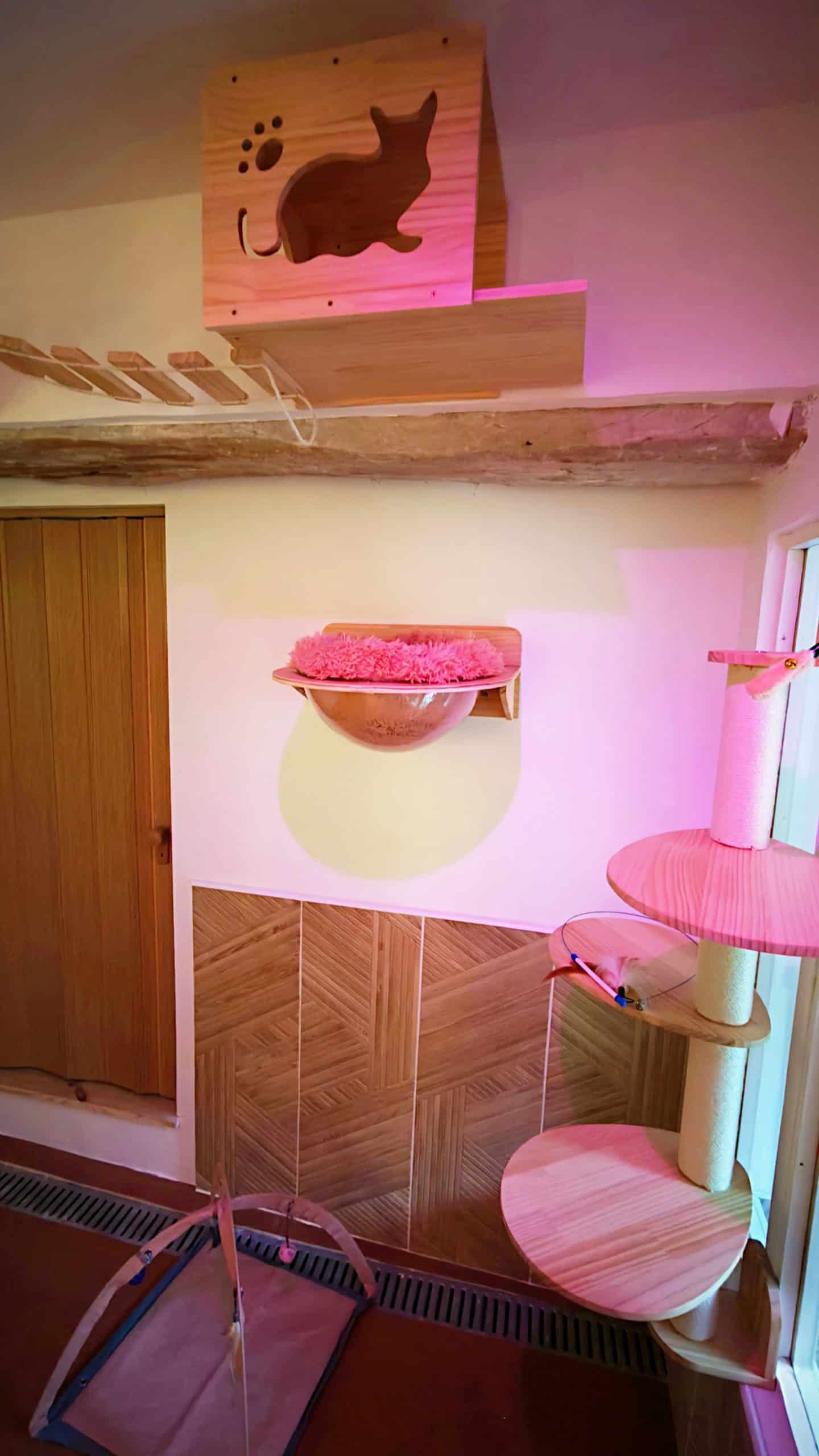 Hôtel pour Chats & Pension Féline en Touraine | Royal Kitty Nanny Suite Royale luminothérapie rose