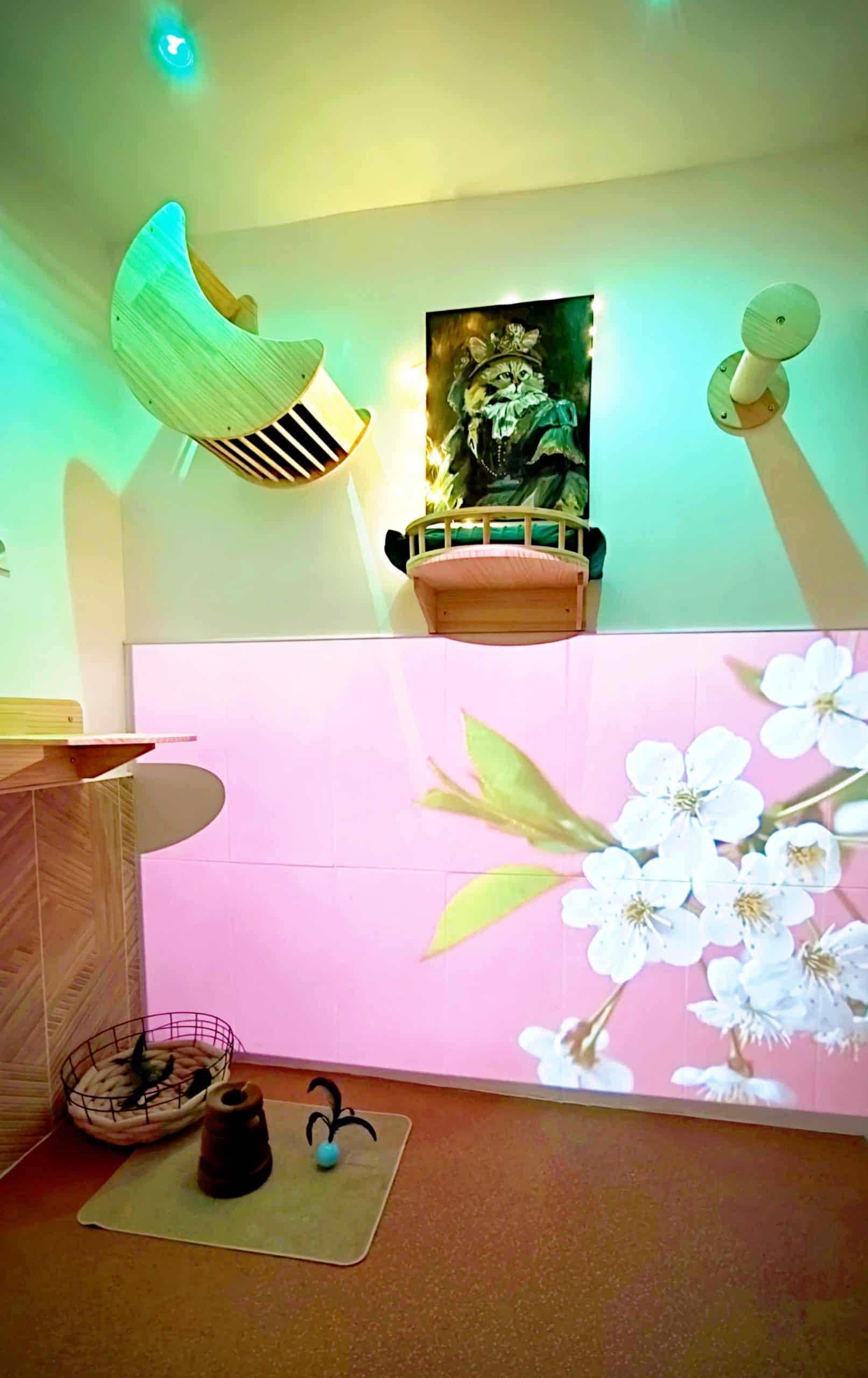 Hôtel pour Chats & Pension Féline en Touraine | Royal Kitty Nanny Suite Royale Kitty – vue grand angle poutres et bois