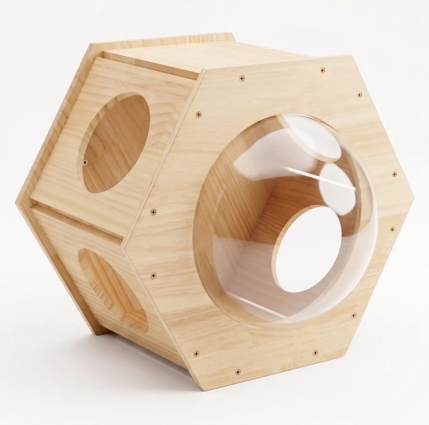 Hôtel pour Chats & Pension Féline en Touraine | Royal Kitty Nanny Grande Bulle Hexagonale pour chat
